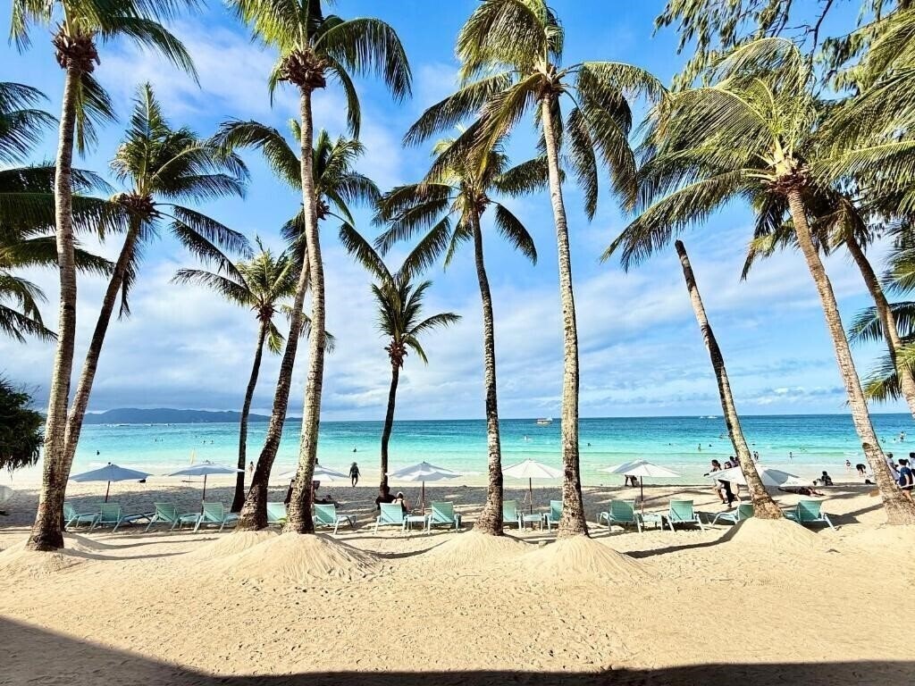 Отель Calypso Beach & Dive Resort 3*