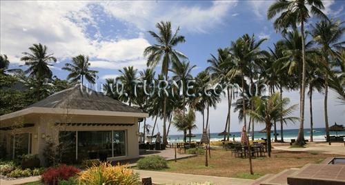 Готель Sheridan Beach Resort And Spa 3*