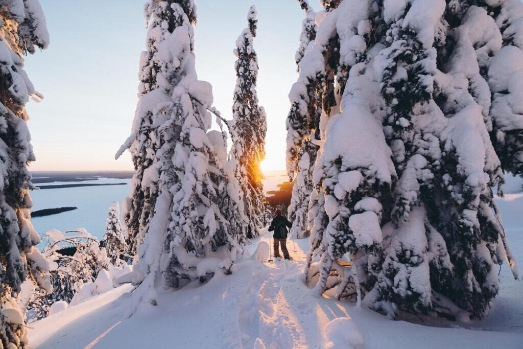 Фото Break Sokos Hotel Koli Kyla 5*