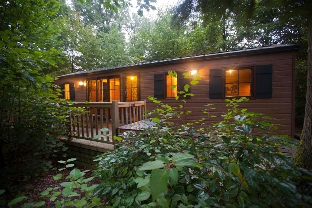 Картинка Disney Davy Crockett Ranch 3*