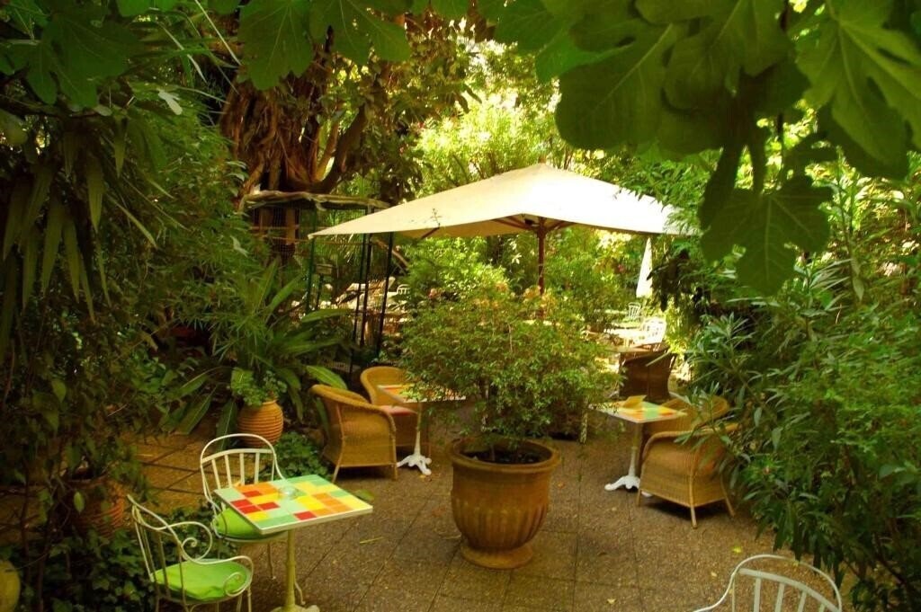 Картинка Le Windsor, Jungle Art Hotel 4*
