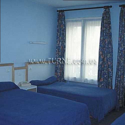 Картинка Rex Comprador 2*