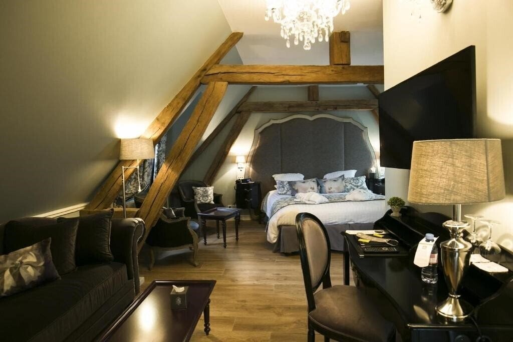 Фото Hotel & SPA Le Grand Monarque Chartres 4*