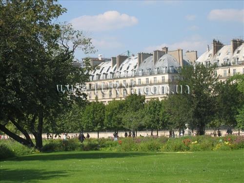 Картинка Brighton 3*