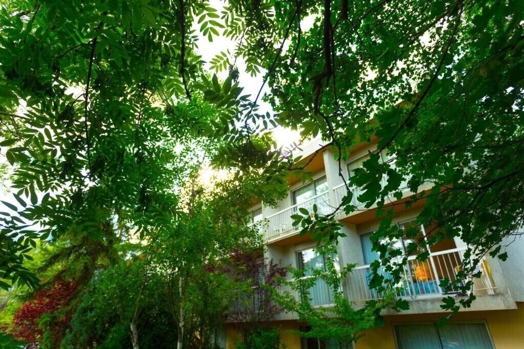 Картинка Hotel Restaurant Pavillon Carina 2*