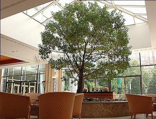 Зображення Inter Continental Berlin 5*