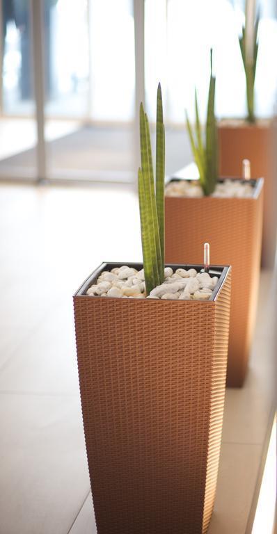 Картинка Wyndham Garden Dresden 4*