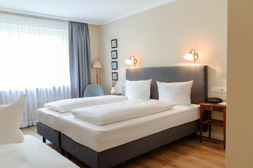 Отель Altmuenchen 3*