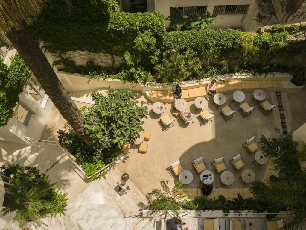 Фотографія Apollo Palm Hotel 4*