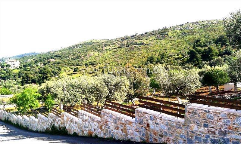 Фотографія Villa Xenia Konaki вилла