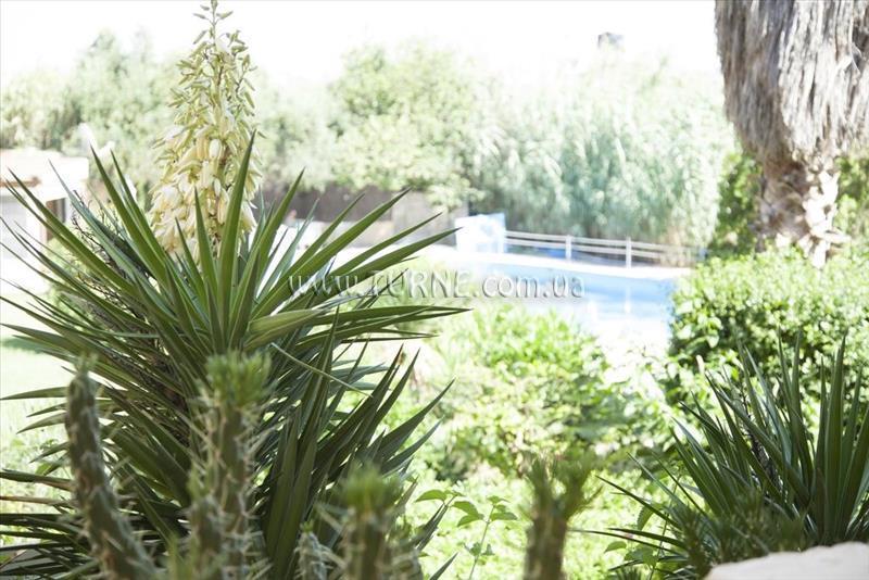 Фотографія Minoas Hotel 2*