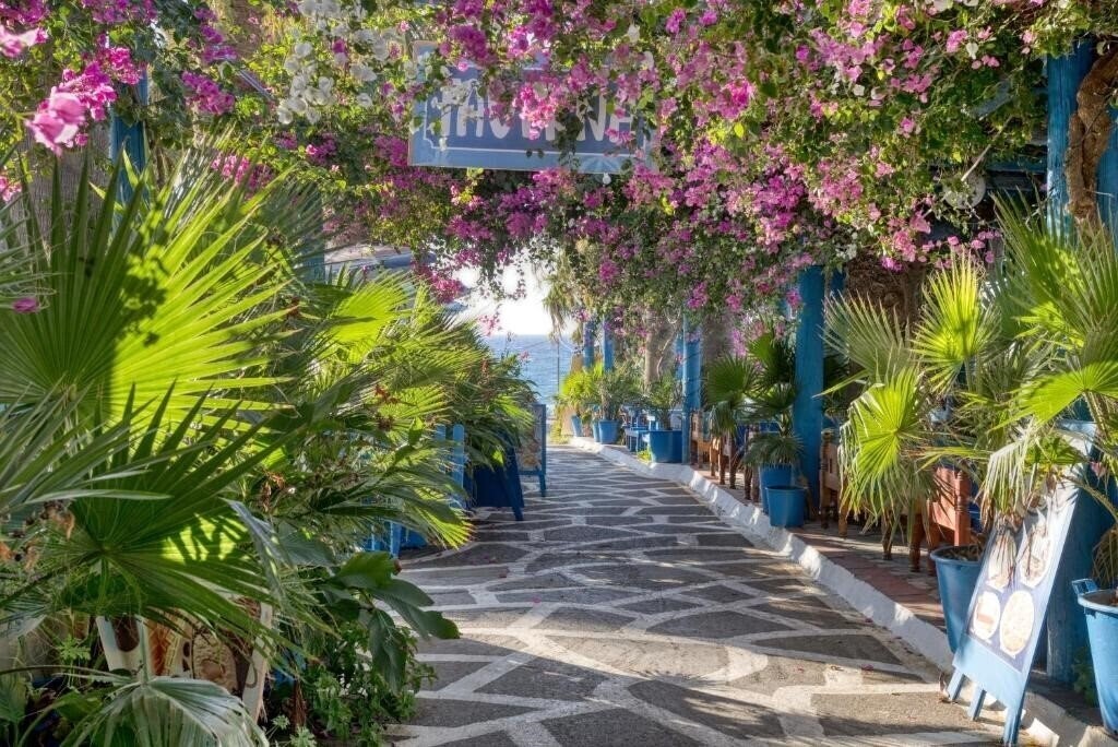 Фотография Palm Bay Hotel 3*