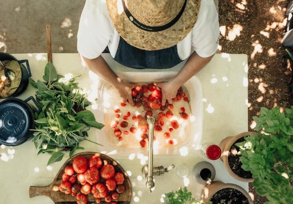 Фотографія Phaea Cretan Malia (ex. Cretan Malia Park) 5*