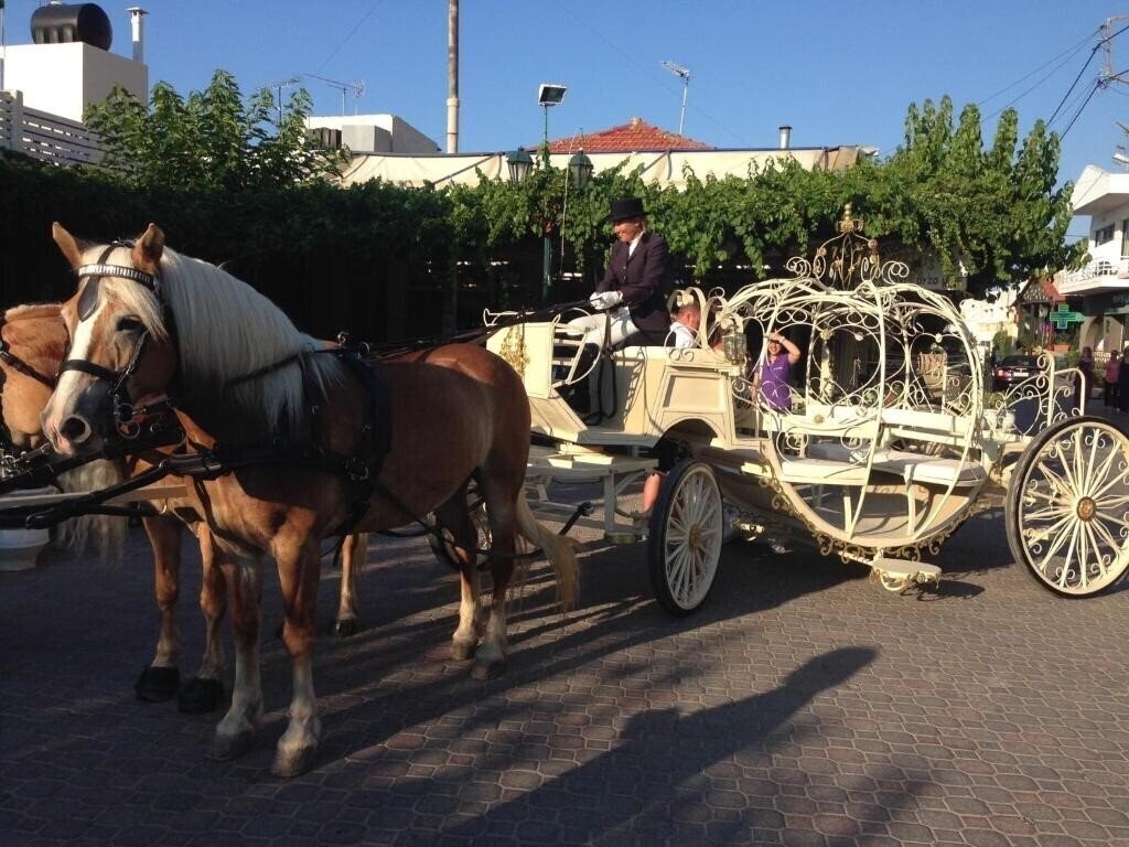 Фото Arion Stables & Apartments 3*