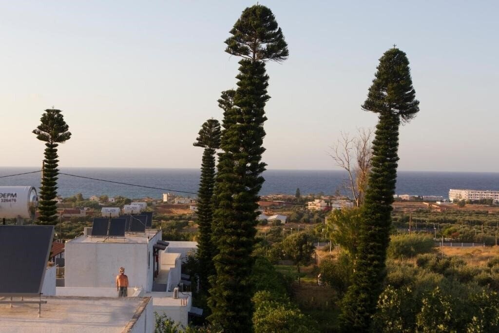 Картинка Marina Villa 3*