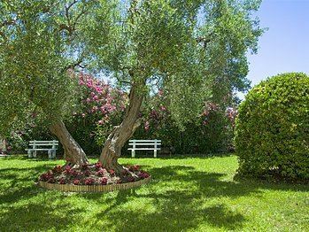 Фото Julia Hotel 3*