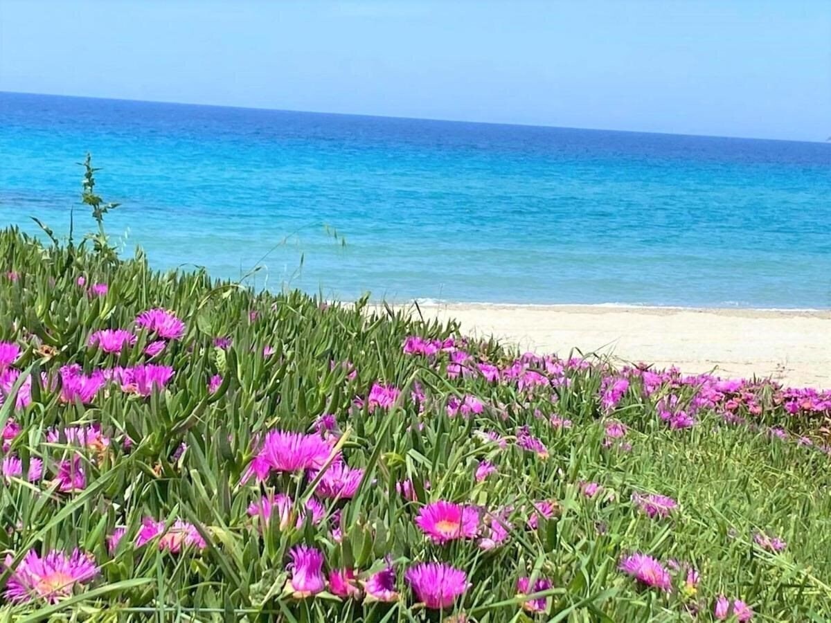 Фотография Palma Village by Greek Pride Hotels (ex. Tropical Fourka) 4*