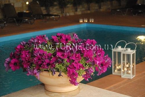 Картинка Maya Bay 2*