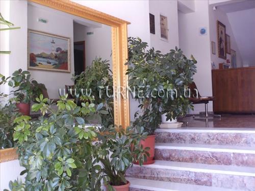 Изображение Elizabeth Apartments апартаменты