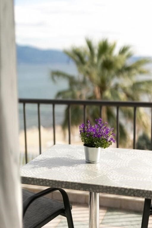 Фотография Calma Beach Hotel 3*