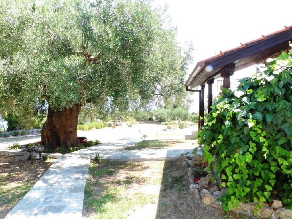 Фотографія MaGia Peristeridi 3*