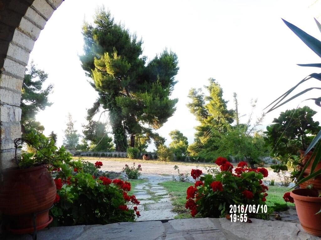 Зображення MaGia Peristeridi 3*