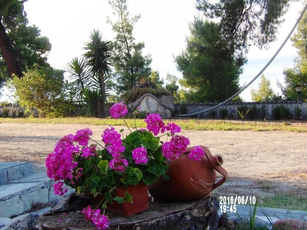 Картинка MaGia Peristeridi 3*