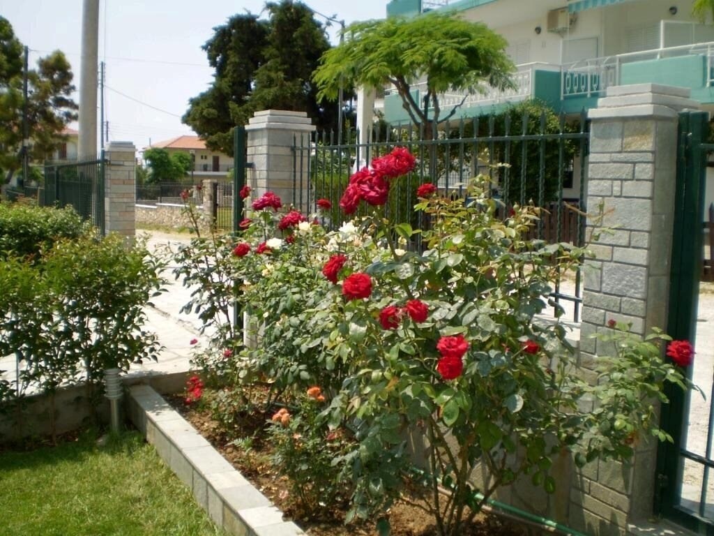 Изображение Pavloudis Apartments 3*