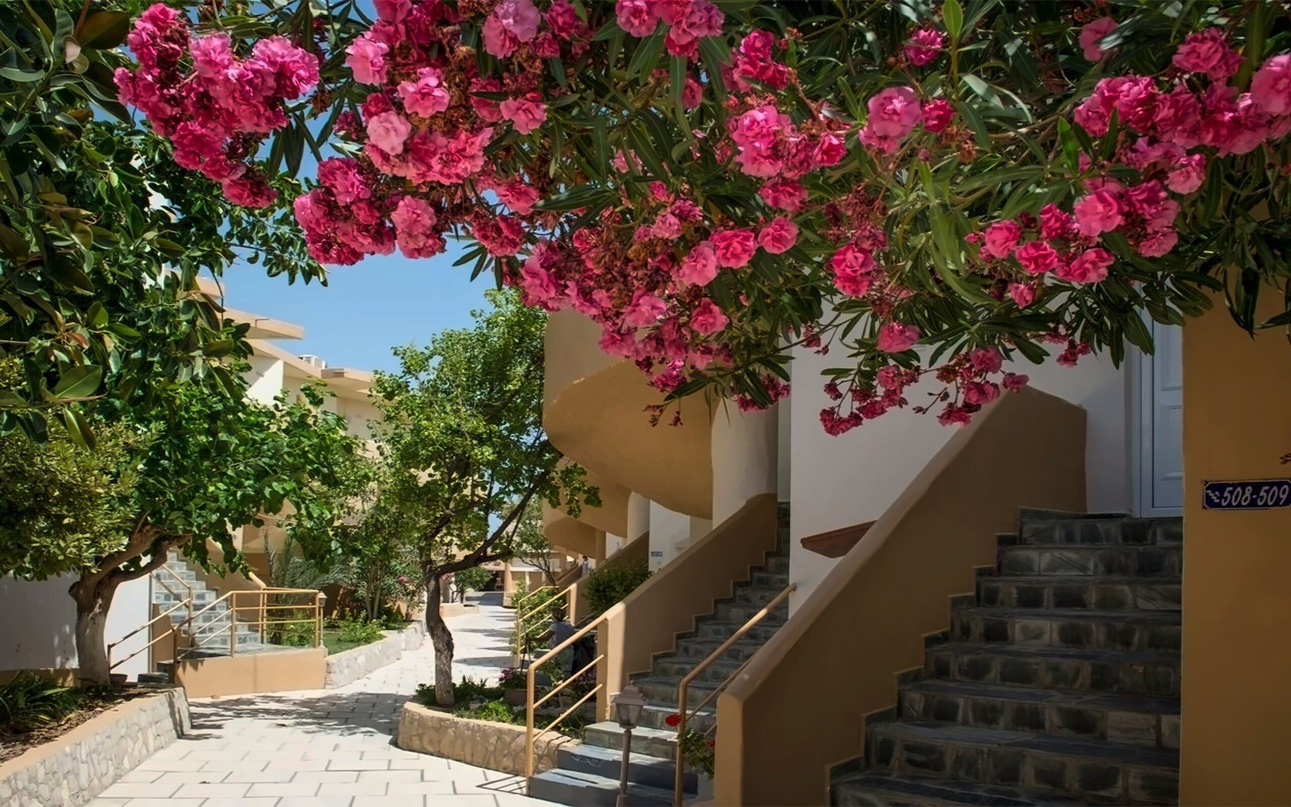 Фотографія Kavros Resort 3*