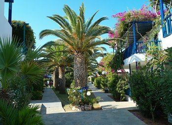 Отель Stella Village 3*