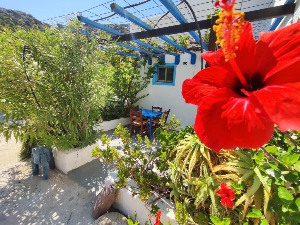 Зображення Oleander'S Garden 3*