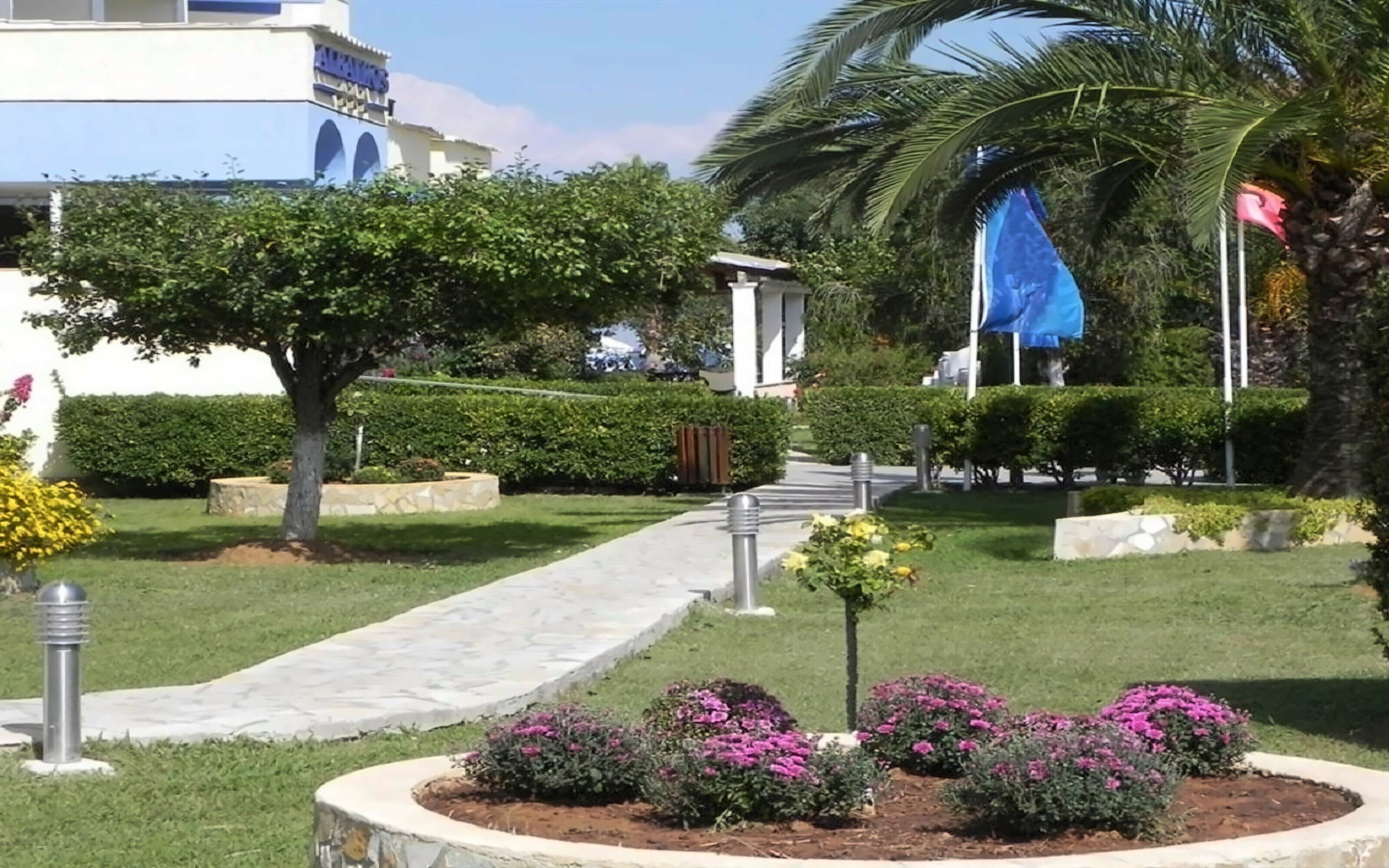 Отель Albatros Hotel 3*