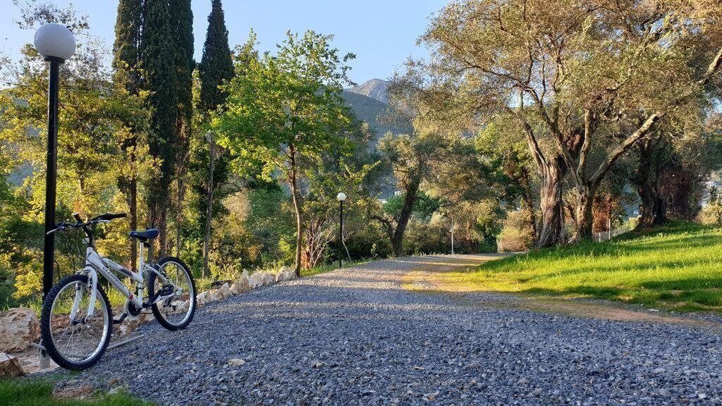 Зображення Yannis 3*