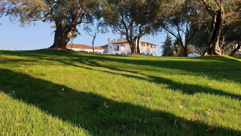 Картинка Yannis 3*