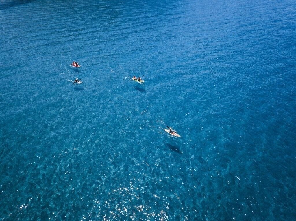 Картинка Pink Palace Beach Resort 3*