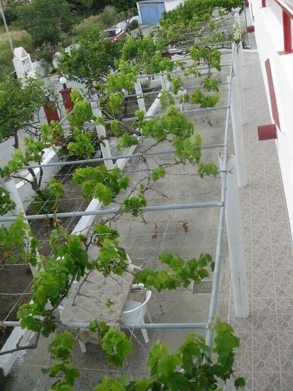 Фотографія Stenna Apartments 2*