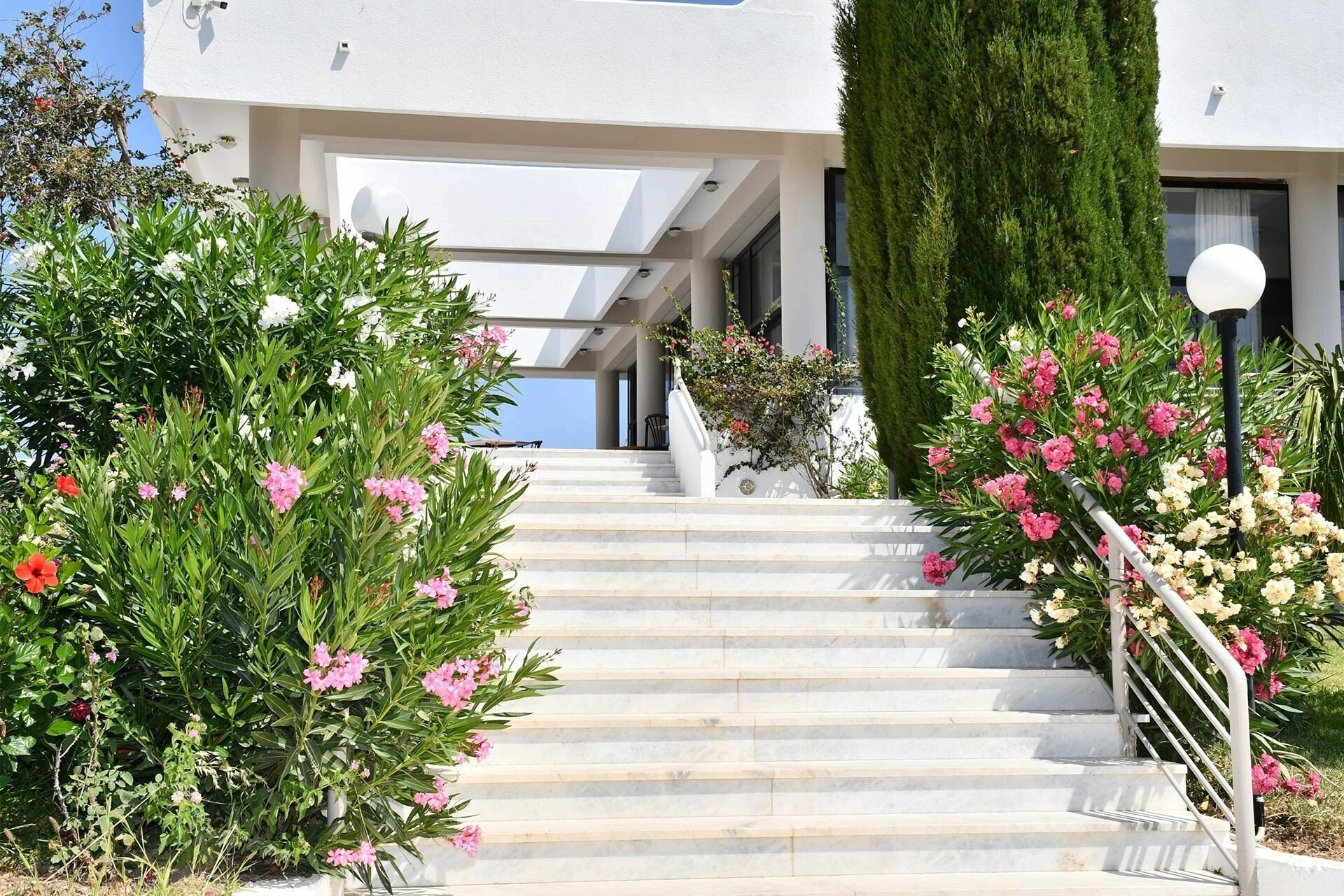 Фотографія Cavo Mediterraneo 3*