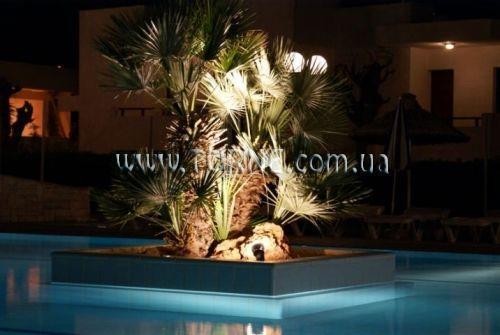 Зображення Smartline Kyknos Beach Hotel & Bungalows 4*