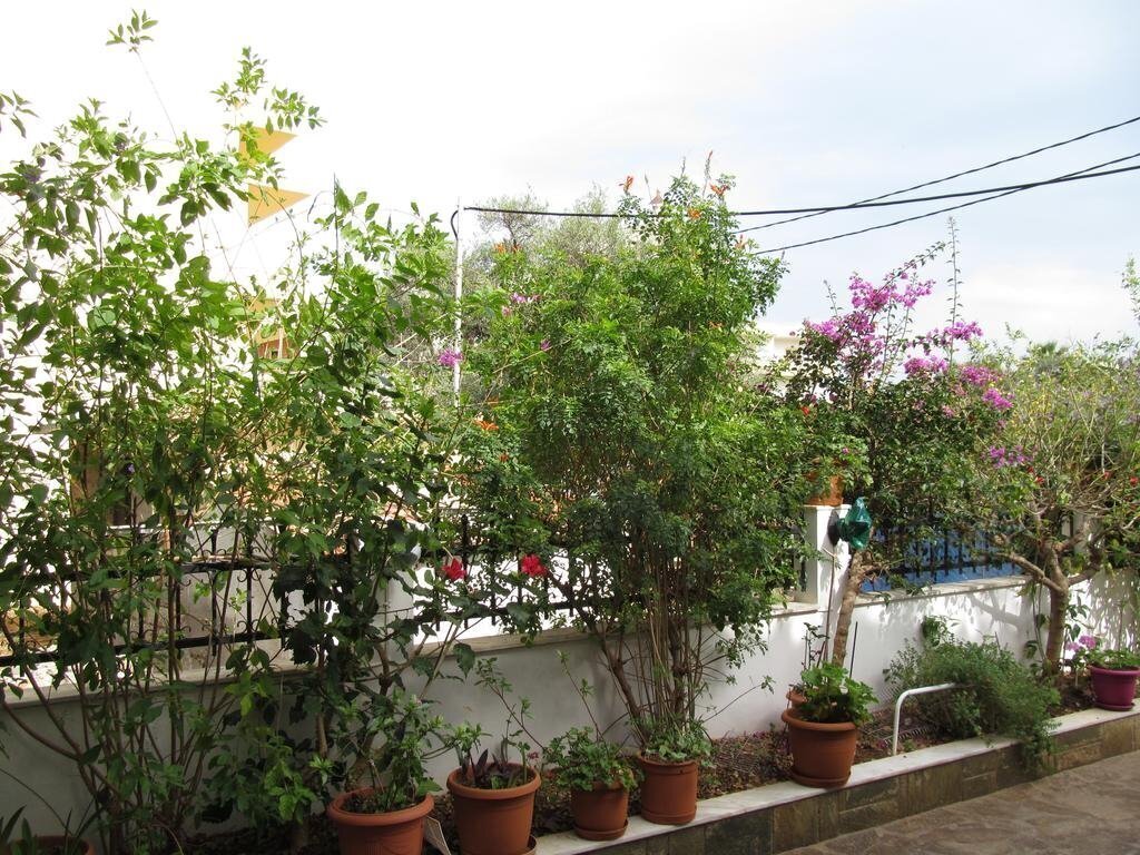 Фото Villa Contessa 2*