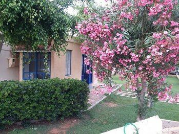 Фото Blue Sky Apartments апартаменты