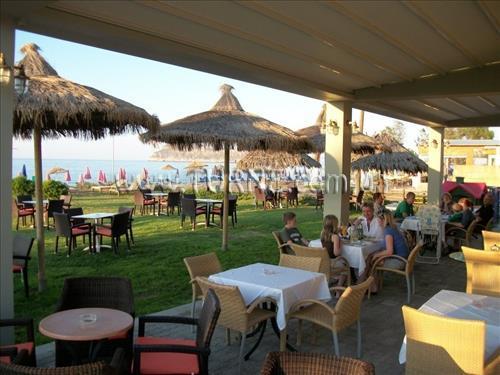 Изображение Platanias Mare 3*