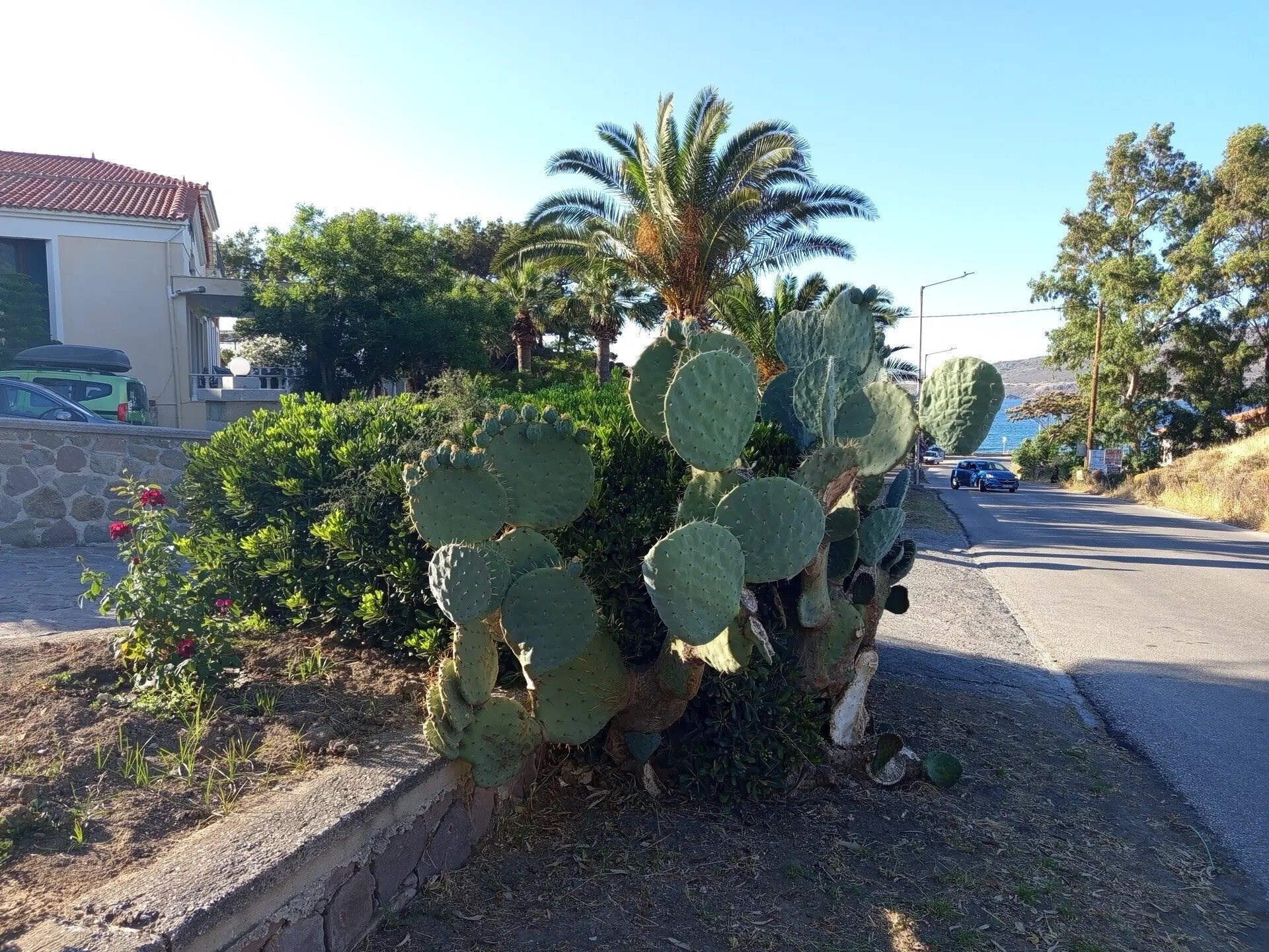 Фотографія Rafael Studios 2*