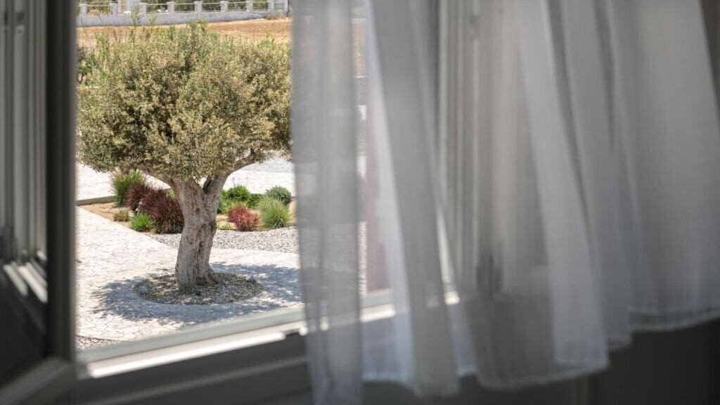 Картинка Olives & Rocks Naxian Villas 4*