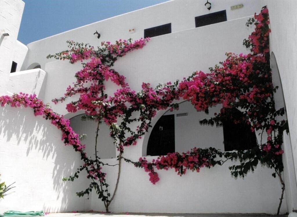 Фото San Antonio Summer House 3*