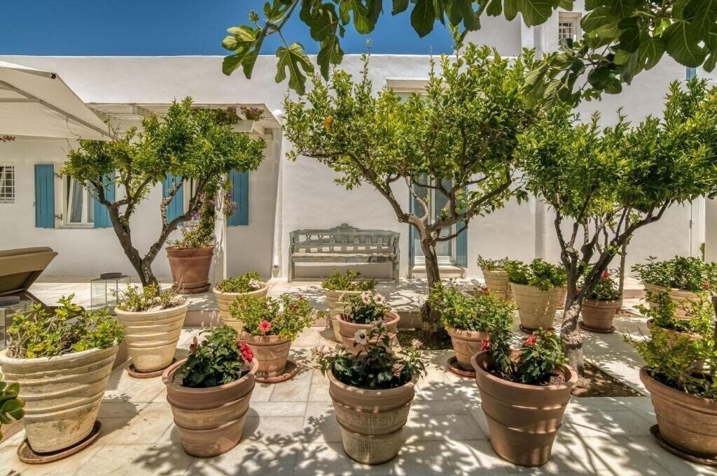 Картинка Villa Bellonia 3*