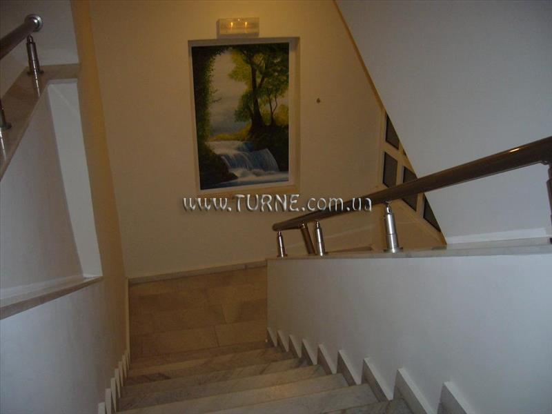 Фотографія Rhodian Rose 3*