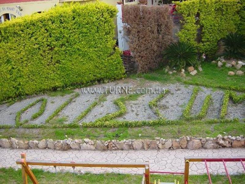 Фото Coliseum Studios & Apartments 3*