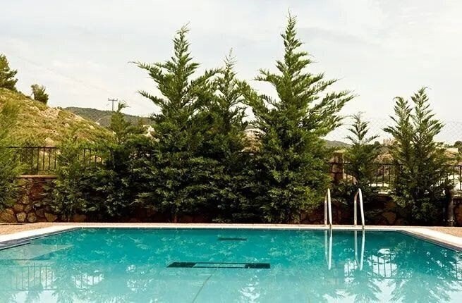 Фото Villa Krini I & II 3*