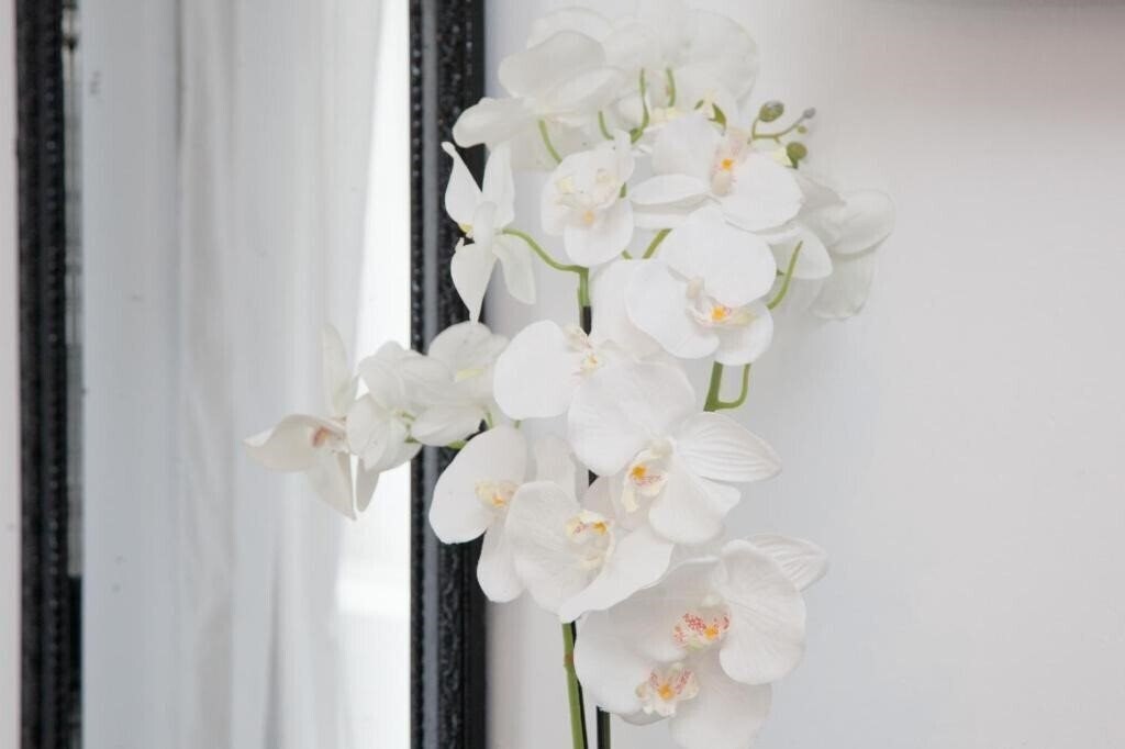 Зображення Georgia Studios And Apartments 2*