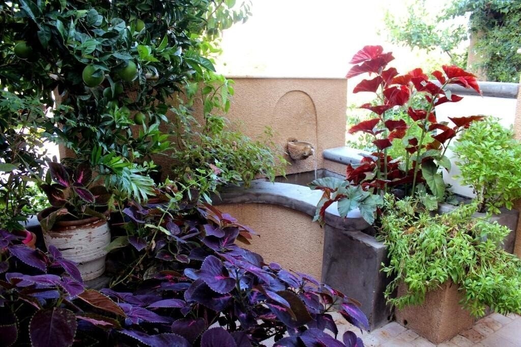 Фото Philoxenia Hotel & Studios 2*